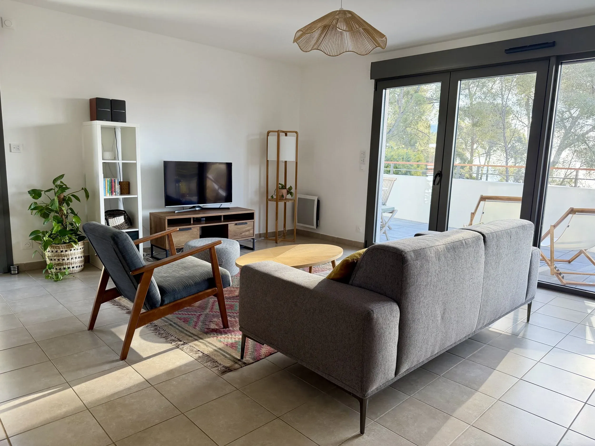 Coin TV avec canapé gris, tapis à motifs et plantes vertes
